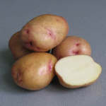Семенной картофель.