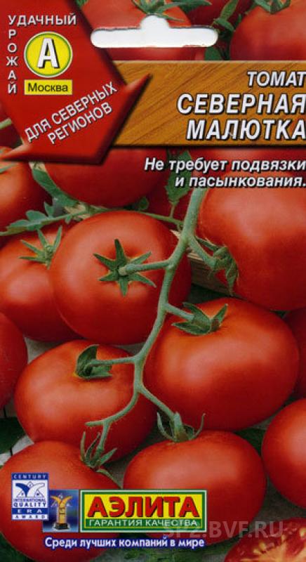 Северная малютка томат описание и фото