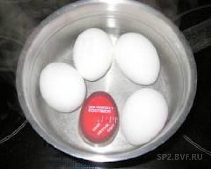 За сколько продать яйцо. Индикатор вареных яиц. Аппарат для варки яиц. Яйца варка электрическая. Таймер для варки яиц.