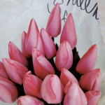 Луковицы тюльпана. Только микс. Количество ограниченно! Луковицы тюльпана. Только микс. Количество ограниченно!