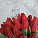 Луковицы тюльпана. Только микс. Количество ограниченно! Луковицы тюльпана. Только микс. Количество ограниченно!