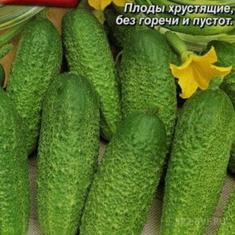 Купить Семена Огурцов Для Фермеров