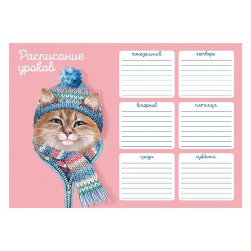 расписание уроков "кошки". расписание уроков с животными. расписание с котиками. расписание уроков с котятами. расписание уроков с котиками.