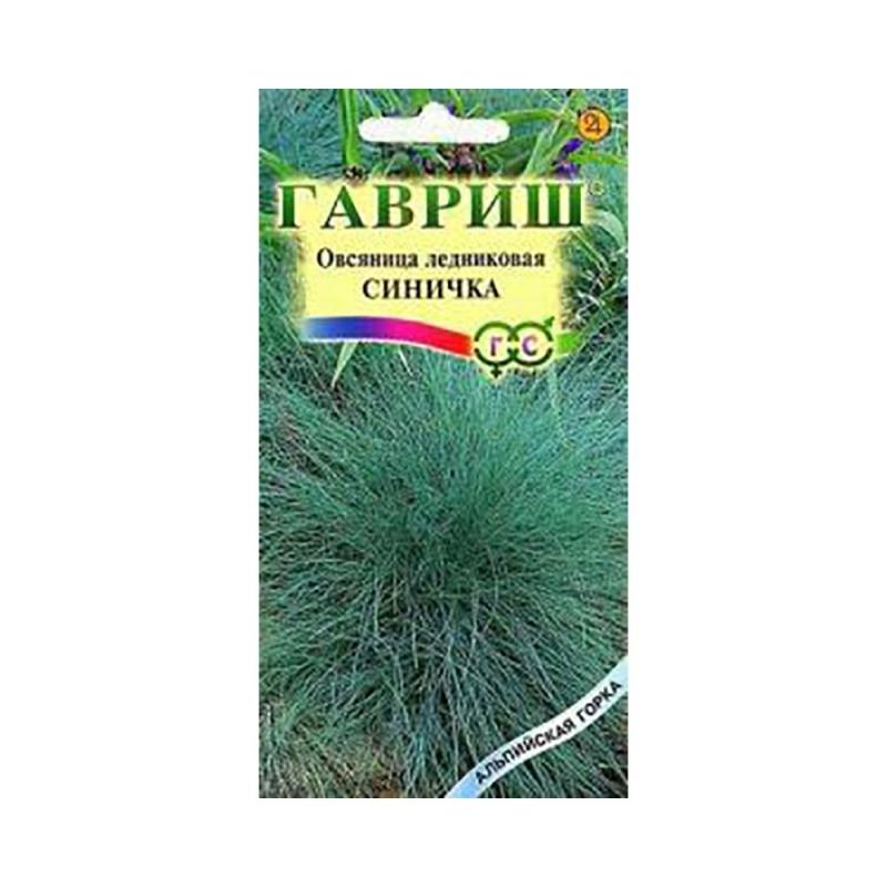 Посев овсяницы на рассаду. Овсяница сизая семена. Овсяница сизая синичка. Овсяница ледниковая синичка. Овсяница голубая синичка.
