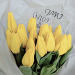 Луковицы тюльпана. Только микс. Количество ограниченно! Луковицы тюльпана. Только микс. Количество ограниченно!