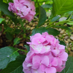 Закупка - пристрой в наличии от Mareska! Закупка - пристрой в наличии от Mareska!