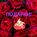 Царица цветов-РОЗА - Предзаказ ОСЕНЬ 2024, розы ОКС