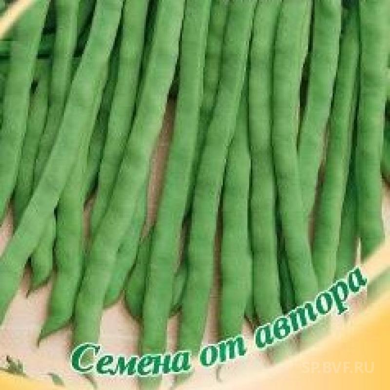 Купить Семена Вигны В Интернет Магазине