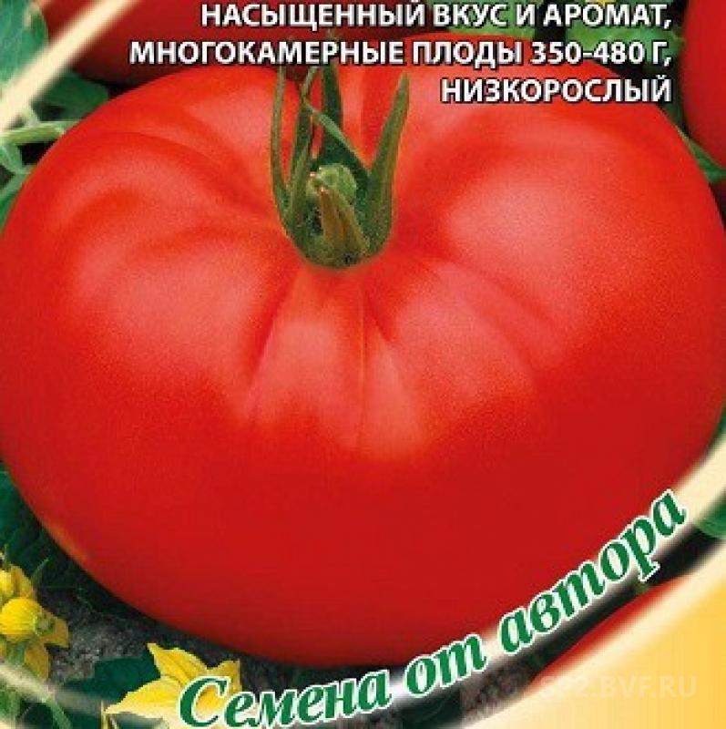 Томат дородный. Помидор русские частушки. Частушка томат. Помидоры русская частушка.